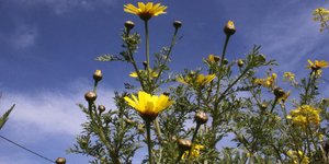 ΦΩΤΟΓΡΑΦΙΑ: EUROKINISSI