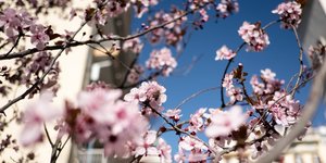 Φωτογραφία: Konstantinos Tsakalidis / SOOC