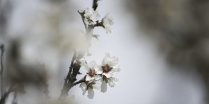 Φωτογραφία: Menelaos Myrillas / SOOC