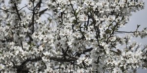 Φωτογραφία: Menelaos Myrillas / SOOC