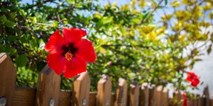 Φωτογραφία Εurokinissi