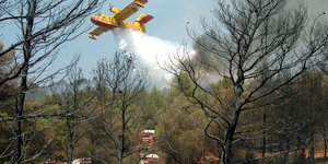 Συνελήφθη επ αυτοφώρω 14χρονος που ευθύνεται για 18 πυρκαγιές στη Μασσαλία