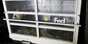 φωτογραφία: AP images