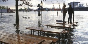 Ισχυροί άνεμοι και πτώσεις δέντρων