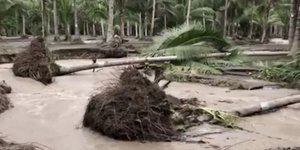 Τροπική καταιγίδα