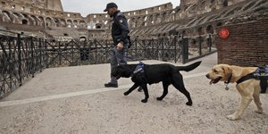 Ειναι 58 ετων