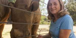 Μόνον δύο λευκοί ρινόκεροι του Βορρά υπάρχουν σήμερα στη γη