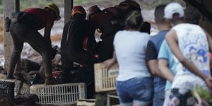 Βραζιλία: φωτογραφίες: apimages