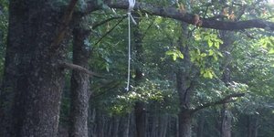 Φωτογραφία: thestival