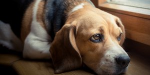 Φωτογραφία: Shutterstock 