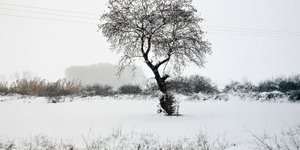 ΦΩΤΟΓΡΑΦΙΑ ΑΡΧΕΙΟΥ: SOOC