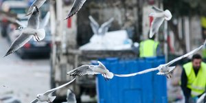 Απορριμματοφόρο εν ώρα εργασίας /Φωτογραφία Αρχείου: Intime news