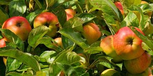 Φωτογραφία: pixabay