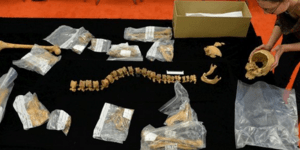 Αυτές ήταν οι σημαντικότερες αρχαιολογικές ανακαλύψεις του 2013: 