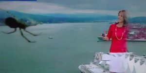 Ο απρόσκλητος «επισκέπτης» στο δελτίο καιρού που έκανε την παρουσιάστρια να... τ