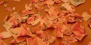 Μπόμπιρας με χόμπι το σκίσιμο βιβλίων έκανε... κομφετί τις οικονομίες των γονιών