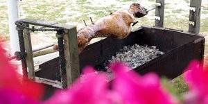 ΦΩΤΟΓΡΑΦΙΑ: EUROKINISSI