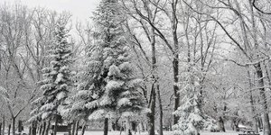 ΦΩΤΟΓΡΑΦΙΑ: EUROKINISSI/ΓΙΩΡΓΟΣ ΖΑΧΟΣ