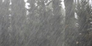 ΦΩΤΟΓΡΑΦΙΑ: EUROKINISSI-ΒΑΣΙΛΗΣ ΠΑΠΑΔΟΠΟΥΛΟΣ