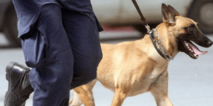 Τι ενοχοποίησε τους δύο συλληφθέντες στη Θεσσαλονίκη – Οι τέσσερις πράξεις του σ