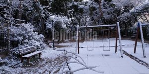 Μοναδικές εικόνες από τη χιονισμένη Αθήνα / Φωτογραφία: iefimerida