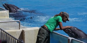 Φωτογραφία: Intimenews/ΠΑΝΑΓΟΠΟΥΛΟΣ ΓΙΑΝΝΗΣ