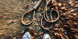 Φωτογραφία: shutterstock