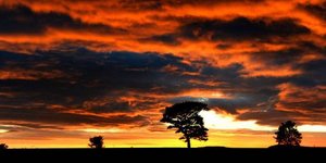 Πως οι ζωγράφοι μας «εξηγούν» το φαινόμενο της ατμοσφαιρικής ρύπανσης -Ερευνα Ελ