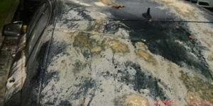 Υποψήφιοι δημοτικοί σύμβουλοι στα Τρίκαλα που δεν εξελέγησαν πέταξαν καφέδες και