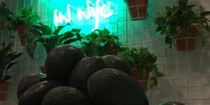 φωτογραφίες: instagram @avocaderia