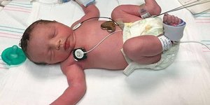 Φωτογραφία: Margaret Boehmer