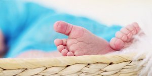 φωτογραφία: pixabay.com
