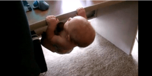 Σούπερ μωρό-ακροβάτης κάνει μονόζυγο [βίντεο]