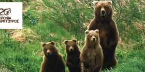 Ο Αρκτούρος γιορτάζει τα 20 χρόνια του με μία πρωτότυπυ «Τούρτα»