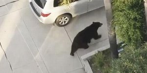 Λος Άντζελες