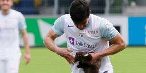 Κουνάβι μπήκε μέσα στο γήπεδο και δάγκωσε το χέρι αμυντικού [βίντεο]