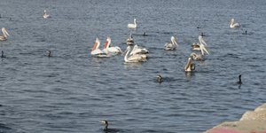 Ασφαλές καταφύγιο στο λιμάνι της Θεσσαλονίκης