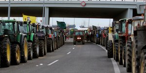 Intimenews/ΚΥΔΩΝΑΣ ΓΙΩΡΓΟΣ