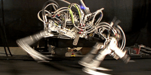 Tο ρομπότ που τρέχει πιο γρήγορα και απο τον Μπόλτ [βίντεο]