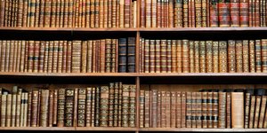 Φωτογραφία: SHUTTERSTOCK