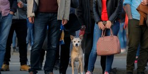 Στιγμιότυπο από την καθημερινή ζωή στο Βουκουρέστι (Φωτογραφία: AP Photo/Vadim Ghirda)