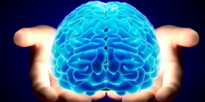 Ποια πλευρά του εγκεφάλου χρησιμοποιείτε περισσότερο: Εξυπνο τεστ έχει την απάντ