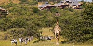 Σαφάρι μόνο για εκατομμυριούχους -Ετσι κάνουν... κατασκήνωση οι προνομιούχοι [ει