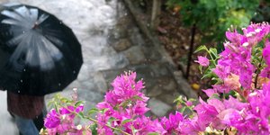 ΦΩΤΟΓΡΑΦΙΑ: EUROKINISSI/ΓΙΩΡΓΟΣ ΚΟΝΤΑΡΙΝΗΣ