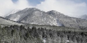 Φωτογραφία: Konstantinos Tsakalidis / SOOC