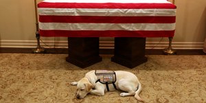 Η Σάλι πλάι στο φέρετρο