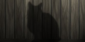 φωτογραφία: pixabay.com
