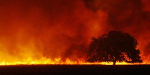 Σήμα συναγερμού από τον Λευκό Οίκο για το περιβάλλον