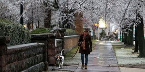 (Φωτογραφία: AP Photo/Mike Groll)