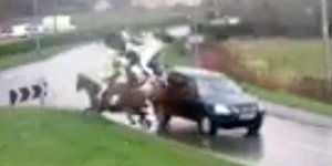 Τρελό ΙΧ πέφτει πάνω σε άλογα και τινάζει στον αέρα τους αναβάτες